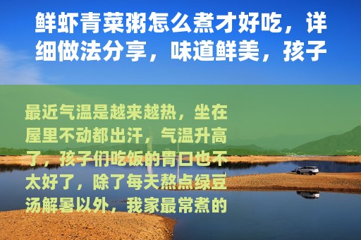 鲜虾青菜粥怎么煮才好吃，详细做法分享，味道鲜美，孩子最喜欢