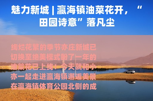 魅力新城 | 瀛海镇油菜花开，“田园诗意”落凡尘