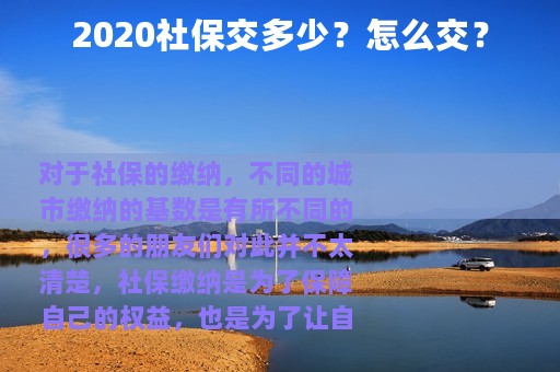 2020社保交多少？怎么交？