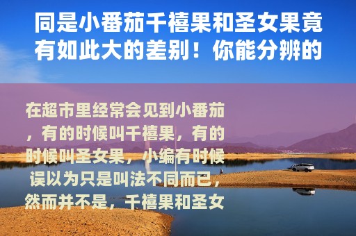 同是小番茄千禧果和圣女果竟有如此大的差别！你能分辨的了么？