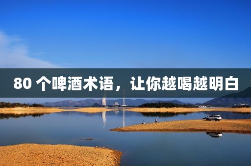 80 个啤酒术语，让你越喝越明白