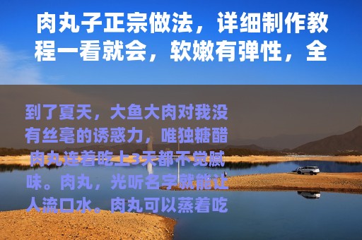 肉丸子正宗做法，详细制作教程一看就会，软嫩有弹性，全家都爱吃
