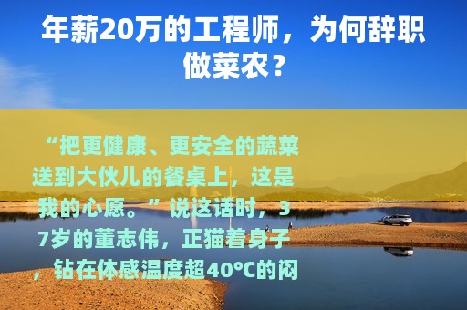 年薪20万的工程师，为何辞职做菜农？