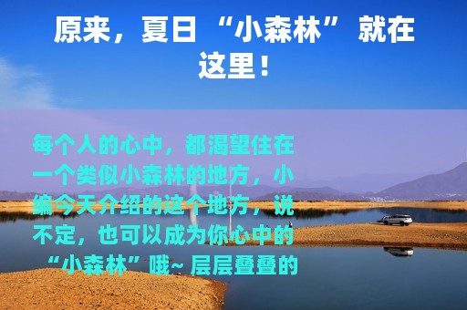 原来，夏日 “小森林” 就在这里！