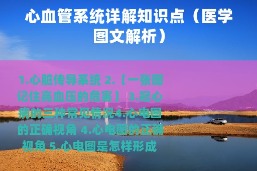 心血管系统详解知识点（医学图文解析）