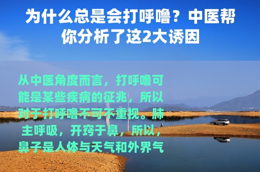 为什么总是会打呼噜？中医帮你分析了这2大诱因