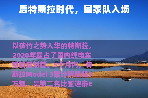 后特斯拉时代，国家队入场