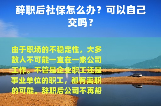 辞职后社保怎么办？可以自己交吗？