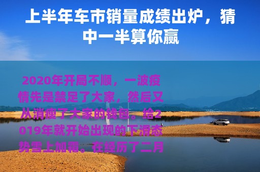 上半年车市销量成绩出炉，猜中一半算你赢