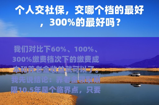 个人交社保，交哪个档的最好，300%的最好吗？