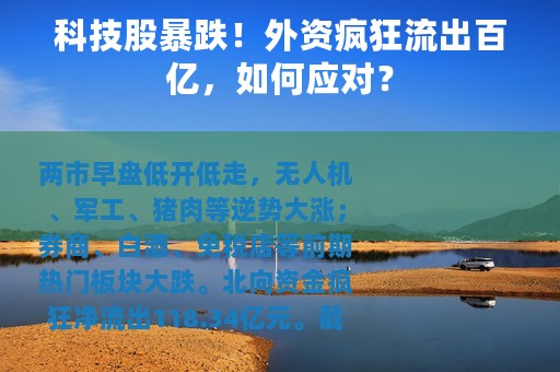 科技股暴跌！外资疯狂流出百亿，如何应对？