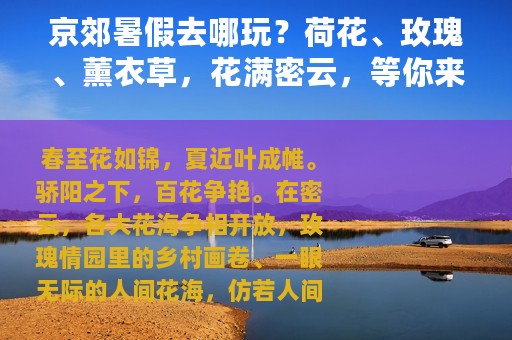 京郊暑假去哪玩？荷花、玫瑰、薰衣草，花满密云，等你来赏！