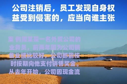 公司注销后，员工发现自身权益受到侵害的，应当向谁主张权利？