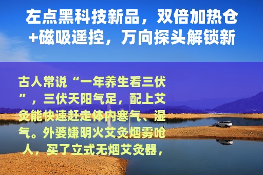 左点黑科技新品，双倍加热仓+磁吸遥控，万向探头解锁新姿势