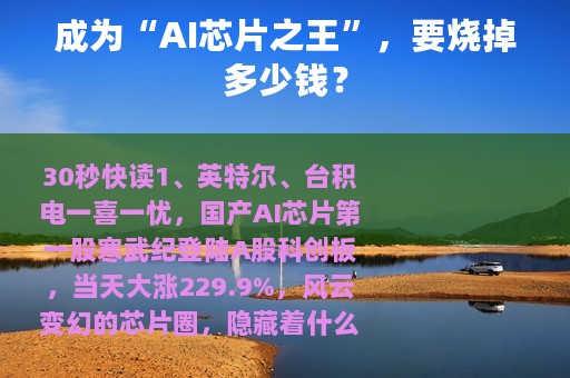成为“AI芯片之王”，要烧掉多少钱？