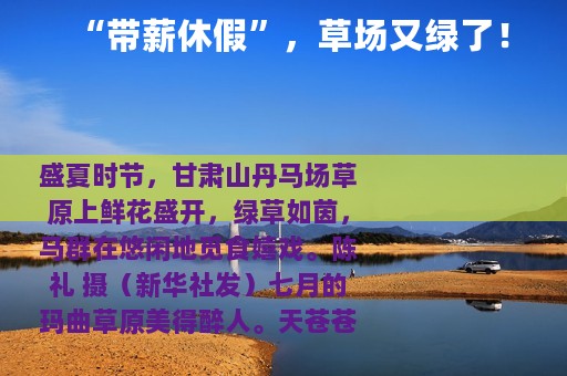 “带薪休假”，草场又绿了！