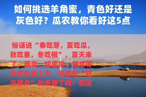 如何挑选羊角蜜，青色好还是灰色好？瓜农教你看好这5点，保管又脆又甜