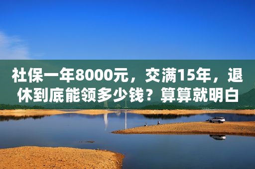 社保一年8000元，交满15年，退休到底能领多少钱？算算就明白