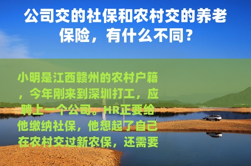 公司交的社保和农村交的养老保险，有什么不同？