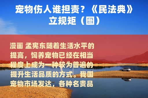 宠物伤人谁担责？《民法典》立规矩（图）
