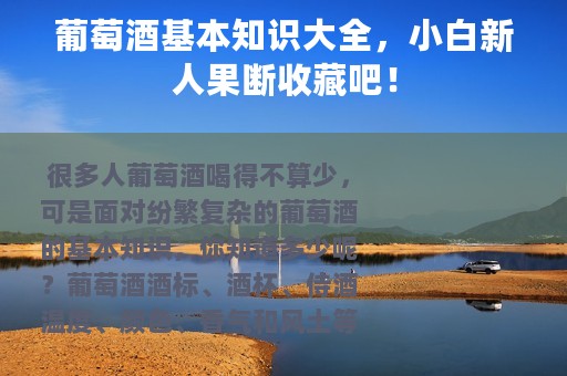 葡萄酒基本知识大全，小白新人果断收藏吧！