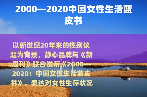 2000—2020中国女性生活蓝皮书