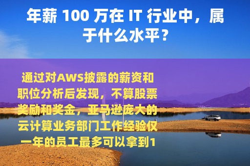 年薪 100 万在 IT 行业中，属于什么水平？
