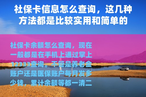社保卡信息怎么查询，这几种方法都是比较实用和简单的
