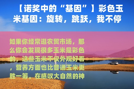 【诺奖中的“基因”】彩色玉米基因：旋转，跳跃，我不停歇？