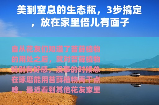 美到窒息的生态瓶，3步搞定，放在家里倍儿有面子