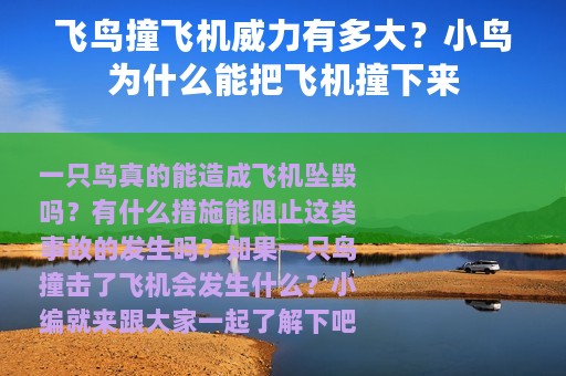 飞鸟撞飞机威力有多大？小鸟为什么能把飞机撞下来