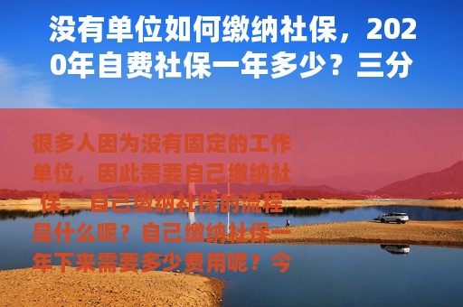 没有单位如何缴纳社保，2020年自费社保一年多少？三分钟读懂