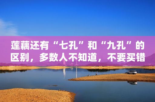 莲藕还有“七孔”和“九孔”的区别，多数人不知道，不要买错了