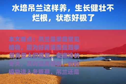 水培吊兰这样养，生长健壮不烂根，状态好极了