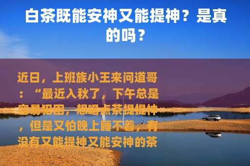 白茶既能安神又能提神？是真的吗？