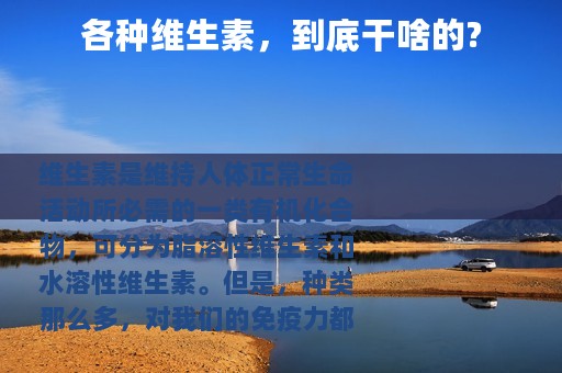 各种维生素，到底干啥的?