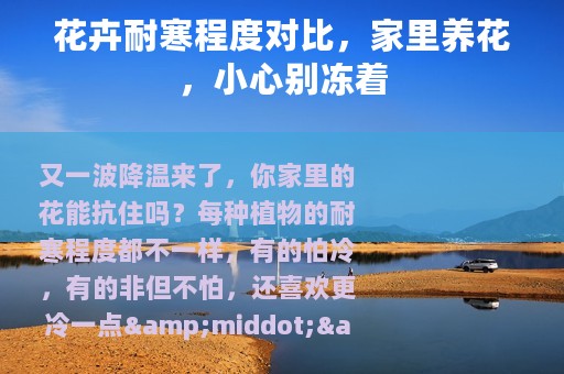 花卉耐寒程度对比，家里养花，小心别冻着