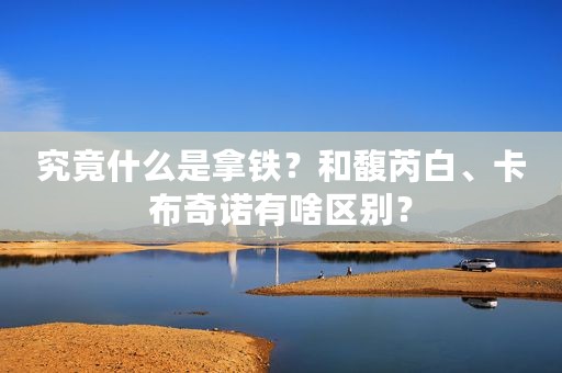 究竟什么是拿铁？和馥芮白、卡布奇诺有啥区别？