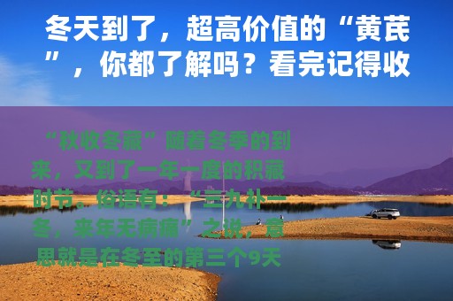 冬天到了，超高价值的“黄芪”，你都了解吗？看完记得收藏