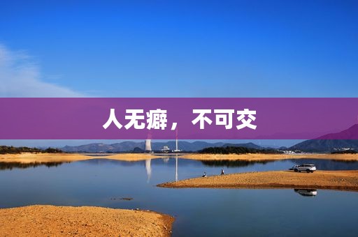 人无癖，不可交