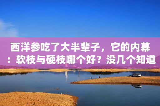 西洋参吃了大半辈子，它的内幕：软枝与硬枝哪个好？没几个知道