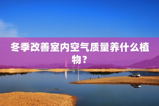 冬季改善室内空气质量养什么植物？