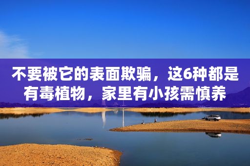 不要被它的表面欺骗，这6种都是有毒植物，家里有小孩需慎养