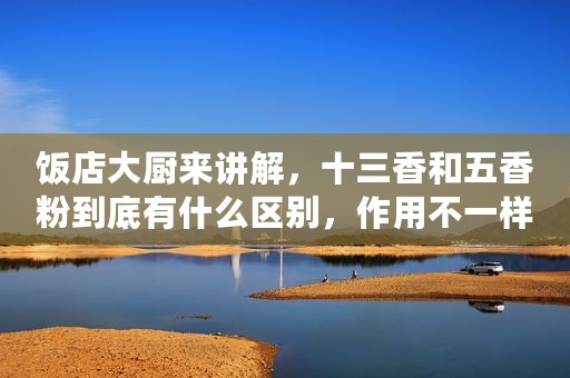 饭店大厨来讲解，十三香和五香粉到底有什么区别，作用不一样