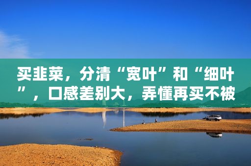 买韭菜，分清“宽叶”和“细叶”，口感差别大，弄懂再买不被忽悠