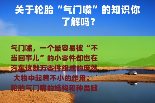 关于轮胎“气门嘴”的知识你了解吗？