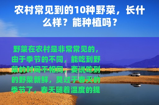 农村常见到的10种野菜，长什么样？能种植吗？