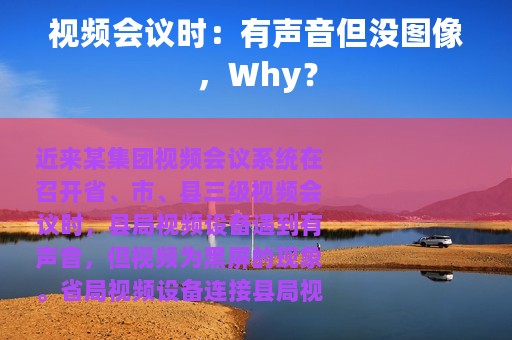 视频会议时：有声音但没图像，Why？