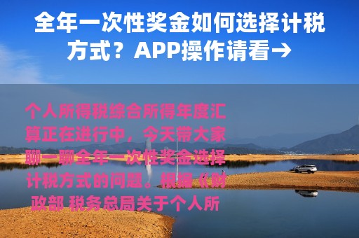 全年一次性奖金如何选择计税方式？APP操作请看→