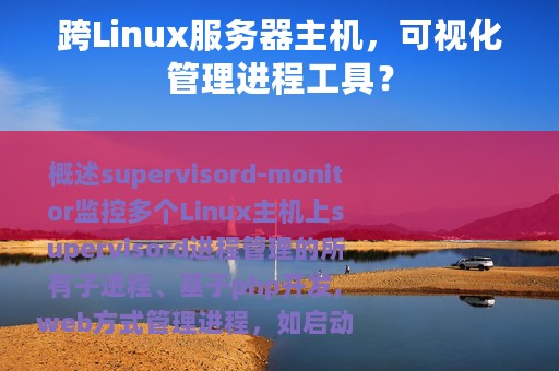 跨Linux服务器主机，可视化管理进程工具？